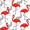 Popular modern style print with red and black flamingo. Trendy s