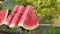 Popular summer refreshment. Hands taking watermelon slices from a plate