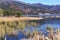 A popular tourist attraction in Japan, the lakeside of`Kawaguchiko-lake` in late autumn.