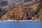 A popular tourist attraction in Japan, the lakeside of`Kawaguchiko-lake` in late autumn.
