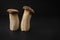 Popular uncooked healthy asian edible King Oyster mushrooms on black background. Asian cuisine.