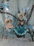 Porcelain dolls on swings photo.