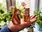 Porcelain figurines of cats in men's and women's costumes on a woman's hand against the backdrop of