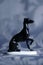 Porcelain italian greyhound statue