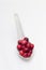 Porcelain spoon with fresh cranberries