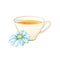 Porcelain Tea cup with Chamomile Tea. Isolated Vector Illustration
