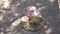 Porcelain teapot and cup, books with golden fore-edge, glass jewelry box and wedding rings on the shiny tray, top view