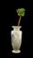 Porcelain vase with exotic plant
