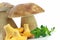 Porcini and Chanterelle Mushroom