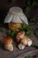 Porcini mushroom commonly known as Boletus Edulis and glass jar with canned mushrooms on vintage wooden background