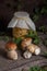 Porcini mushroom commonly known as Boletus Edulis and glass jar with canned mushrooms on vintage wooden background