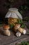 Porcini mushroom commonly known as Boletus Edulis and glass jar with canned mushrooms on vintage wooden background