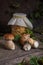 Porcini mushroom commonly known as Boletus Edulis and glass jar with canned mushrooms on vintage wooden background