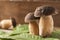 Porcini mushrooms boletus edulis on a wooden table