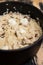 Porcini mushrooms risotto