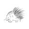 Porcupine illustration, drawing, engraving, ink, line art, vector