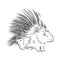 Porcupine illustration, drawing, engraving, ink, line art, vector