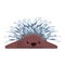 Porcupine resting icon, cartoon style