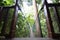 Poring Treetop Canopy Walk