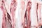 Pork Carcasses in butchery ready for processing