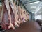 Pork carcasses hang in a meat processing plant