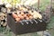 Pork and chicken barbecue on skewers frying on a grill brazier against fire wood stack background
