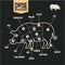 Pork cuts. Swine butchery diagram. Barbecue,. Pork meat cuts.