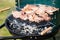 Pork Meat Chop Preparing On Barbecue Gril