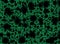 Porous green texture pattern with hole. biology backgrounds