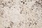 Porous grunge wall background texture