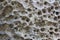 Porous rock texture