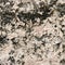 Porous sandstone