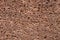 Porous sandstone surface. Ancient rough texture of natural stone. Weathered stone closeup. Rustic grungy surface photo