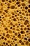 Porous Sponge Macro Texture