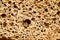 Porous stone texture