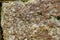 Porous Volcanic Boulder Background