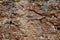 Porous Volcanic Boulder Background