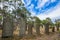 Port Arthur graveyard