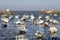 Port of Barfleur in France