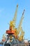 Port cargo crane