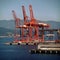 Port cargo cranes