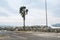 Port Cogolin beach shore rainy day with wind palm trees