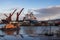 Port of Fenit on the west coast of Ireland