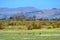 Port Hills as seen from Travis Wetland Nature Heritage Park in New Zealand