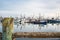 Port of Newport Fishing Fleet at Port Docks, Newport, Ore