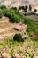 Port wine vineyards landscape and an old house in Douro region slopes