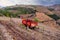 Port wine vineyards landscape and old red cart