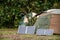 Portable foldable solar panels and Tent at the campsite surrounding by nature. Camping and recreation