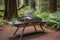 portable grill on scenic picnic table surrounded by forest