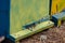 Portable hives on display in the forest close up. bees in front of the entrance to the hive. Multicolored bee hives at apiary in